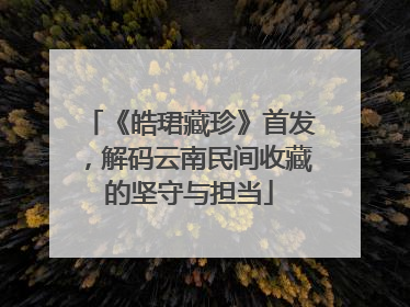 《皓珺藏珍》首发，解码云南民间收藏的坚守与担当
