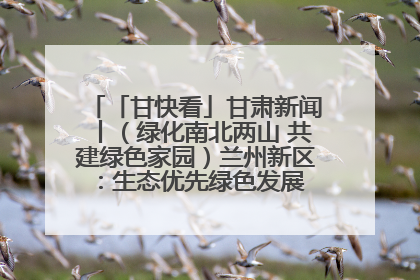 「甘快看」甘肃新闻丨（绿化南北两山 共建绿色家园）兰州新区：生态优先绿色发展 打造生态环保示范区