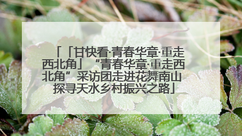 「甘快看·青春华章·重走西北角」“青春华章·重走西北角”采访团走进花舞南山 探寻天水乡村振兴之路