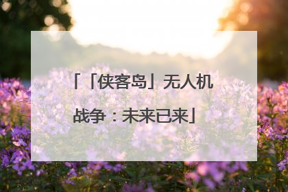 「侠客岛」无人机战争：未来已来