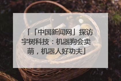 「中国新闻网」探访宇树科技：机器狗会卖萌，机器人好功夫