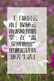 「旅居云南」探秘云南龙陵邦腊掌：在“温泉博物馆”里邂逅诗意康养生活