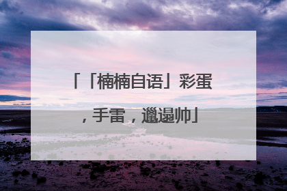 「楠楠自语」彩蛋，手雷，邋遢帅