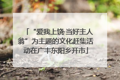 “爱我上饶·当好主人翁”为主题的文化赶集活动在广丰东阳乡开市