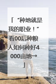 “种地就是我的职业！”看00后种粮人如何种好4000亩地→