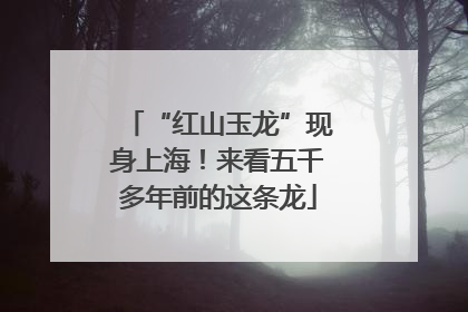 “红山玉龙”现身上海！来看五千多年前的这条龙