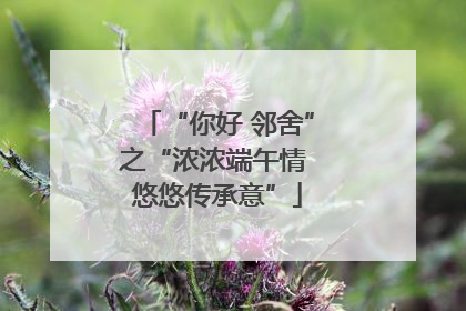 “你好 邻舍”之“浓浓端午情 悠悠传承意”