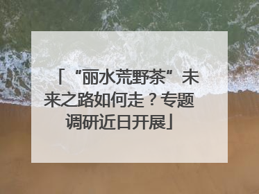 “丽水荒野茶”未来之路如何走？专题调研近日开展