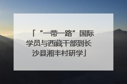 “一带一路”国际学员与西藏干部到长沙县湘丰村研学