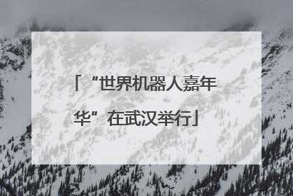 “世界机器人嘉年华”在武汉举行