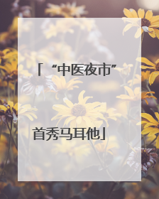 “中医夜市”首秀马耳他