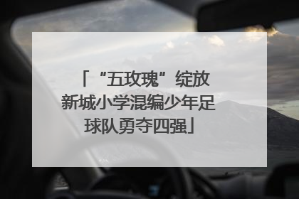 “五玫瑰”绽放 新城小学混编少年足球队勇夺四强