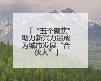“五个聚焦”助力新兴力量成为城市发展“合伙人”