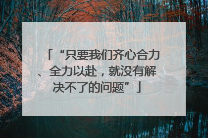 “只要我们齐心合力、全力以赴，就没有解决不了的问题”