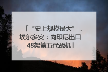 “史上规模最大”，埃尔多安：向印尼出口48架第五代战机