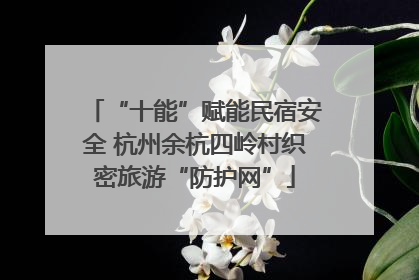 “十能”赋能民宿安全 杭州余杭四岭村织密旅游“防护网”