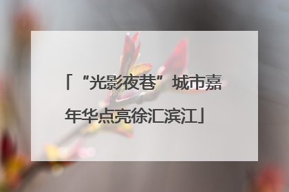 “光影夜巷”城市嘉年华点亮徐汇滨江