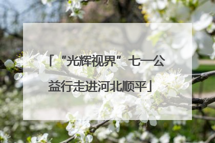 “光辉视界”七一公益行走进河北顺平