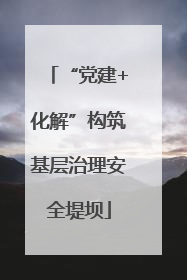 “党建+化解”构筑基层治理安全堤坝