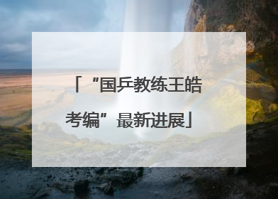 “国乒教练王皓考编”最新进展