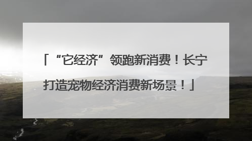 “它经济”领跑新消费！长宁打造宠物经济消费新场景！