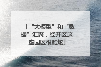 “大模型”和“数据”汇聚，经开区这座园区很酷炫