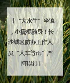 “大水牛”坐镇，小撬棍随身！长沙城区防办工作人员“人车等雨”严阵以待