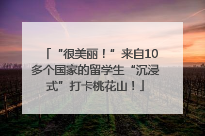 “很美丽！”来自10多个国家的留学生“沉浸式”打卡桃花山！