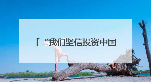 “我们坚信投资中国的决策完全正确”（见证·中国机遇）