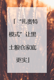 “扎赉特模式”让黑土粮仓家底更实