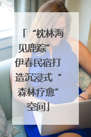 “枕林海见鹿踪” 伊春民宿打造沉浸式“森林疗愈”空间