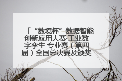 “数境杯”数据智能创新应用大赛·工业数字孪生 专业赛（第四届）全国总决赛及颁奖典礼成功举办