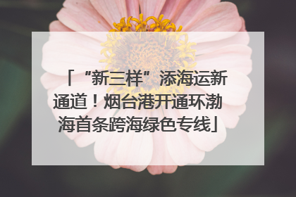 “新三样”添海运新通道！烟台港开通环渤海首条跨海绿色专线