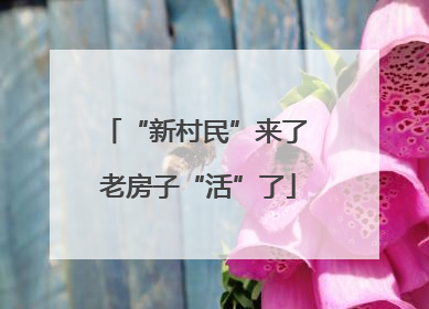 “新村民”来了 老房子“活”了