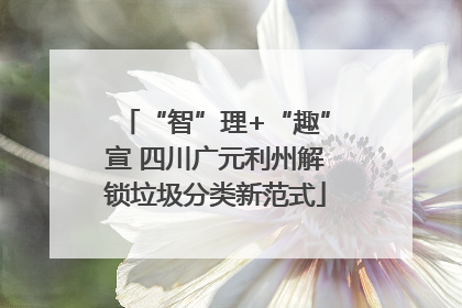 “智”理+“趣”宣 四川广元利州解锁垃圾分类新范式