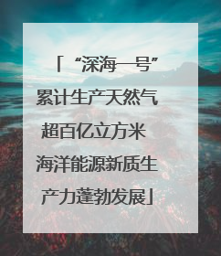 “深海一号”累计生产天然气超百亿立方米 海洋能源新质生产力蓬勃发展