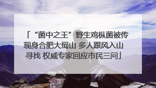 “菌中之王”野生鸡枞菌被传现身合肥大蜀山 多人跟风入山寻找 权威专家回应市民三问