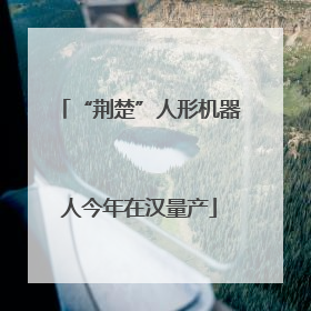 “荆楚”人形机器人今年在汉量产