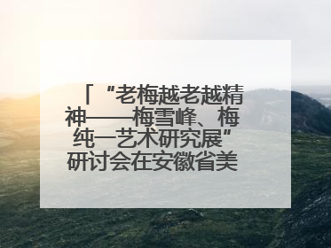 “老梅越老越精神——梅雪峰、梅纯一艺术研究展”研讨会在安徽省美术馆召开
