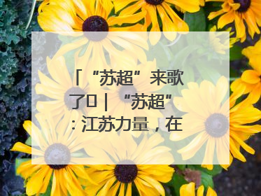 “苏超”来歌了⑪｜“苏超”：江苏力量，在这里聚焦