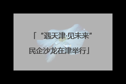 “遇天津·见未来”民企沙龙在津举行