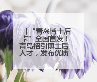 “青岛博士后卡”全国首发！青岛招引博士后人才，发布优质岗位1700余个
