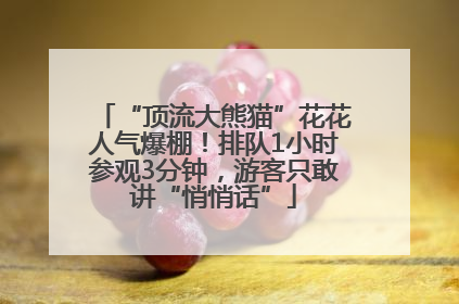 “顶流大熊猫”花花人气爆棚！排队1小时参观3分钟，游客只敢讲“悄悄话”