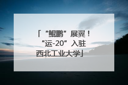 “鲲鹏”展翼！“运-20”入驻西北工业大学