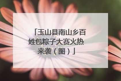 玉山县南山乡百姓包粽子大赛火热来袭（图）