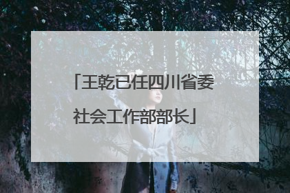 王乾已任四川省委社会工作部部长