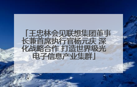 王忠林会见联想集团董事长兼首席执行官杨元庆 深化战略合作 打造世界级光电子信息产业集群