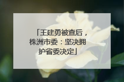 王建勇被查后，株洲市委：坚决拥护省委决定