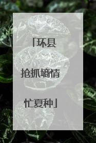 环县 抢抓墒情忙夏种