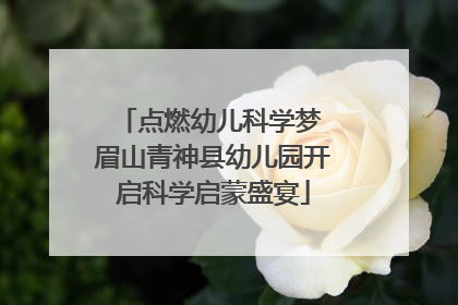 点燃幼儿科学梦 眉山青神县幼儿园开启科学启蒙盛宴